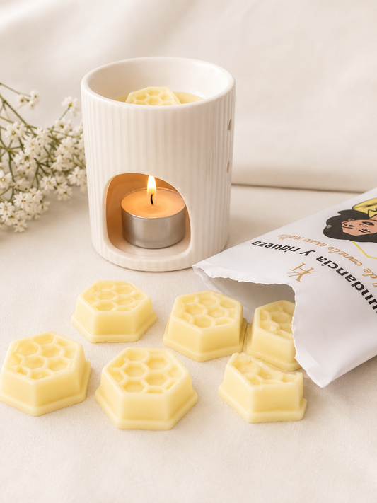Wax Melts Abundancia y Riqueza | Aroma de Canela | LDVY