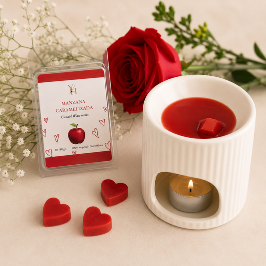 Wax Melts Aromáticos | Ceras Perfumadas para Quemador | LDVY